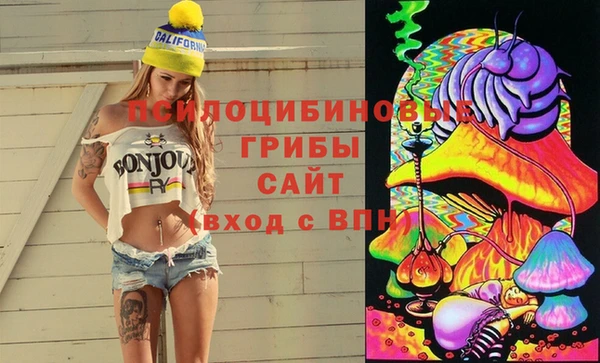 бутират Алзамай