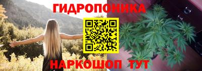 кокс Пенза