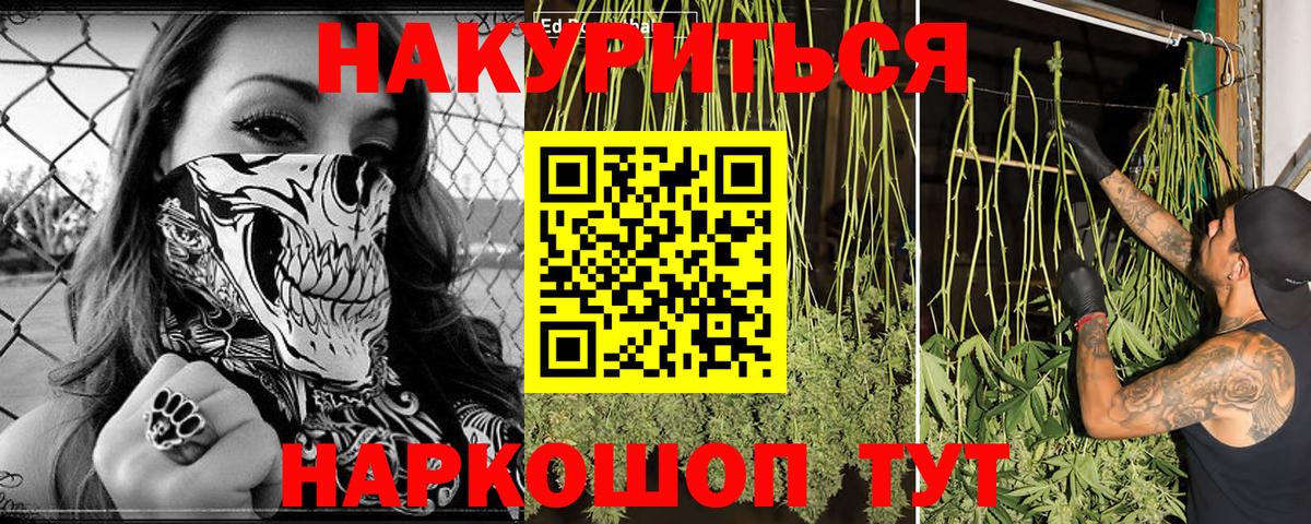 Каннабис OG Kush  Вход с VPN  Шишки марихуана марихуана  Бошки Шишки планчик  Чистополь 
